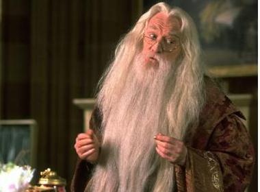 Nhung vai phu an tuong trong Harry Potter hinh anh