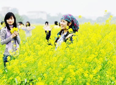 Teen Ha thanh me tao dang truoc canh dong hoa vang hinh anh