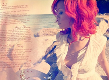 Rihanna khong muon nhac lai chuyen bi bao hanh hinh anh