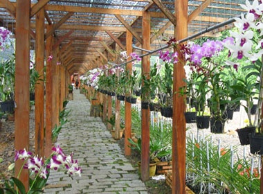 Vuot deo Chuoi, tham tram Huou va Lan hinh anh