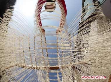 Bo mi dai 5 met o Trung Quoc hinh anh