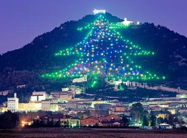 Thap sang cay thong Noel lon nhat the gioi hinh anh