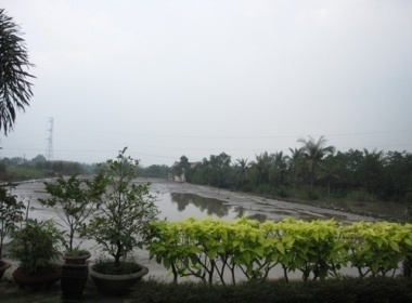 Ghe vuon dua an hat methi hinh anh