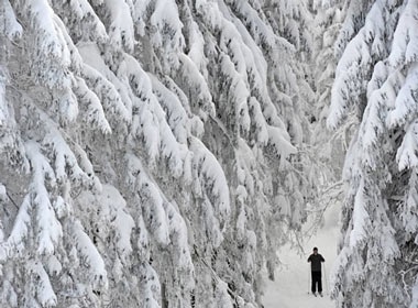 Anh tuyet trang troi o chau Au hinh anh