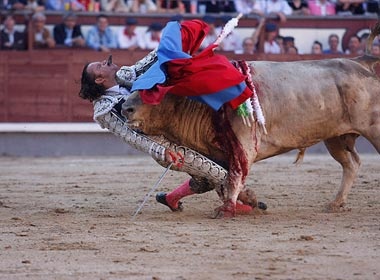 Nhung buc anh lay dong cam xuc nhat 2010 hinh anh