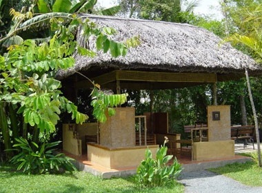 'Oc dao xanh' Van Thanh giua thanh pho hinh anh