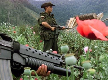 'Chua te ma tuy' bi tieu diet hinh anh