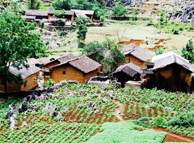 Cao nguyen Dong Van dep me hoac hinh anh