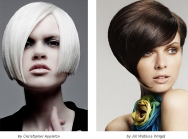 Toc ngan goi cam don xuan ve hinh anh