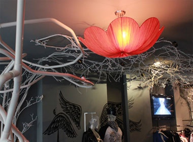 Quan ca phe hoa no tren tran hinh anh