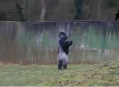 Clip khi dot di bang 2 chan gay sot tren mang hinh anh