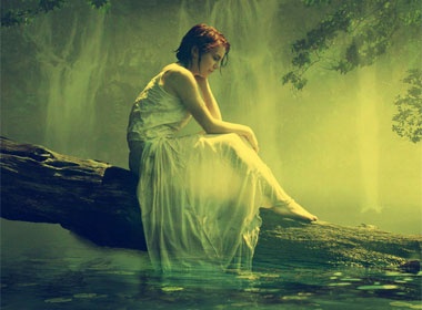 Tim vi cua co don hinh anh