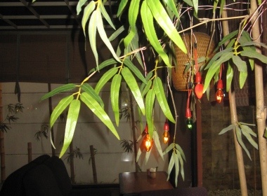 Quan tre xanh phong cach Nhat hinh anh