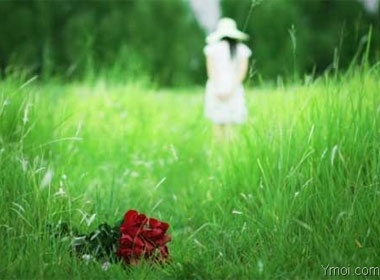 Hay de em duoc doi theo anh hinh anh