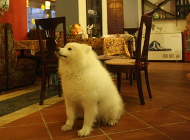 Quan ca phe dat hang nho cho Bac Cuc hinh anh