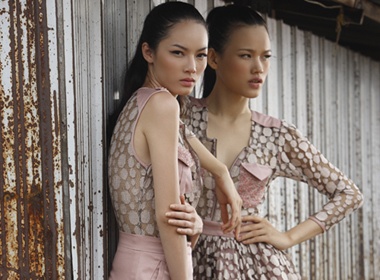 Bao Hoa do chan voi dan em hinh anh