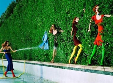 Ngam cac nguoi dep bung no trong sac mau hinh anh