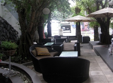 Gam mau xanh giua long Sai Gon hinh anh