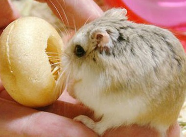 Trao luu nuoi thu hang hieu cua teen hinh anh