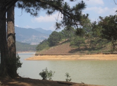 Thoa thich cam trai va cau ca o ho Suoi Vang hinh anh