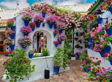 Le hoi hoa ruc ro sac mau o Tay Ban Nha hinh anh