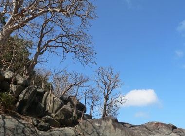 Ve dep trong lanh cua thien duong du lich Con Dao hinh anh