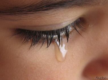 Hoi han vi thach chong xet nghiem ADN! hinh anh