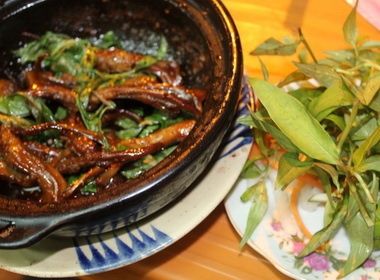 Dam da luoi vit sapo hinh anh