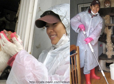 Nu hoang sexy xu Han di don chuong meo hinh anh