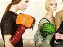 Prada mung xuan 2008 hinh anh