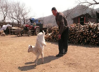 Con de co the di bang 2 chan truoc hinh anh