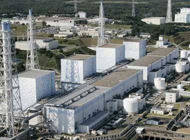 Bat giu nguoi dam cong nha may dien hat nhan Nhat Ban hinh anh