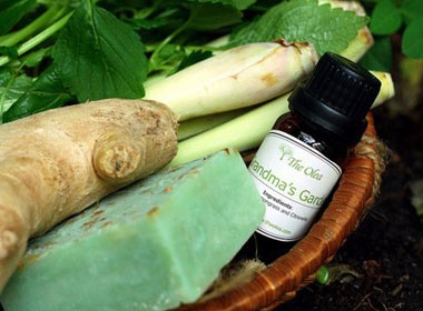 Lam dep voi tinh dau hinh anh