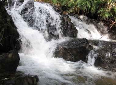 Du lich gia re trong ngay gio To hinh anh