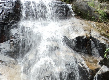 Nuong com lam tren thac 7 tang hinh anh