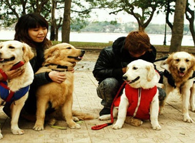 Teen sot voi trao luu choi cho canh hinh anh