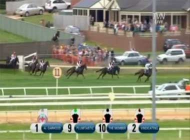 Clip ngua dua chay lac khien 3 nguoi bi thuong hinh anh