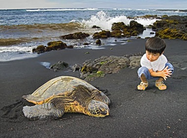 Nhung bai bien ky la tren the gioi hinh anh