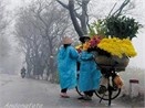 Blog oi, Ha Noi ret hinh anh