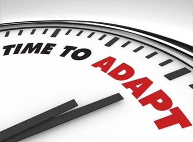 Tuyet chieu cho 'linh moi' trong cong so hinh anh