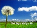 To hoc duoc la... hinh anh