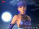 DOA Online [Wallpaper] (1) hinh anh