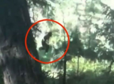 Quay duoc video ve 'quai vat Bigfoot' trong rung hinh anh