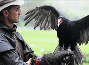 Duc dao tao ‘tham tu’ ken ken de tim xac chet hinh anh