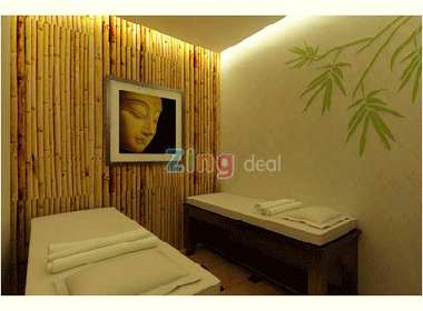 Giam can nhu y tai Pensilia hinh anh