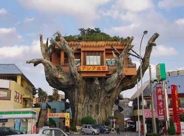 10 ngoi nha 'to chim' doc dao tren the gioi hinh anh