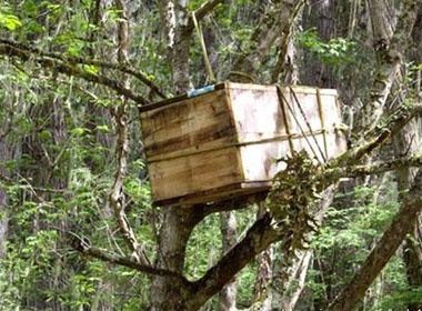 Rung minh phong tuc thu tang cua nguoi Tay Tang hinh anh