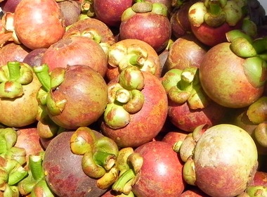 Mua he toi Con Phung an trai cay mien phi hinh anh