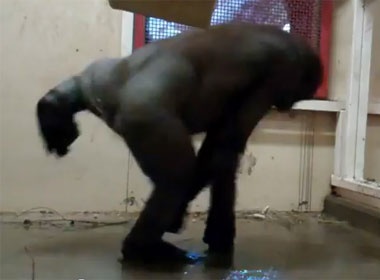 Clip khi dot nhay breakdance hinh anh