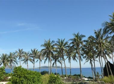 'Dao tien' giua bien dao Ly Son hinh anh